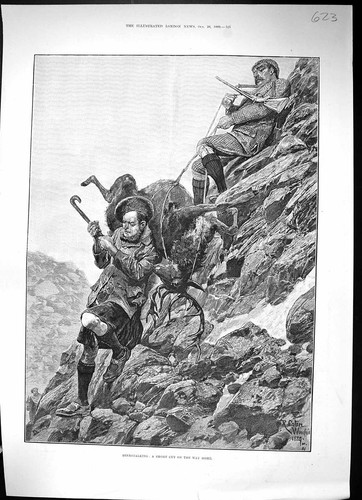 Antique old print 1889 - antique,