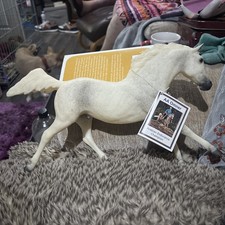 #1139 Breyers AA Omner Arabian Endurance Champion 