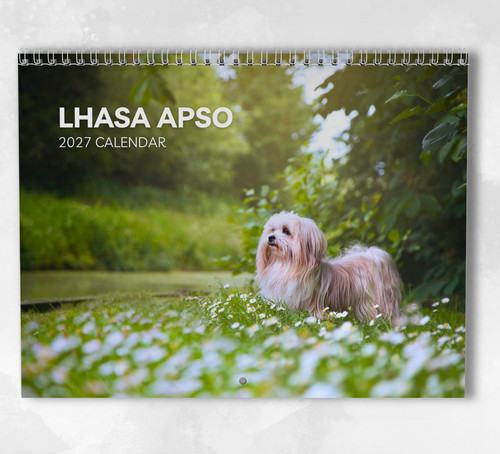 Lhasa apso calendar - apso,