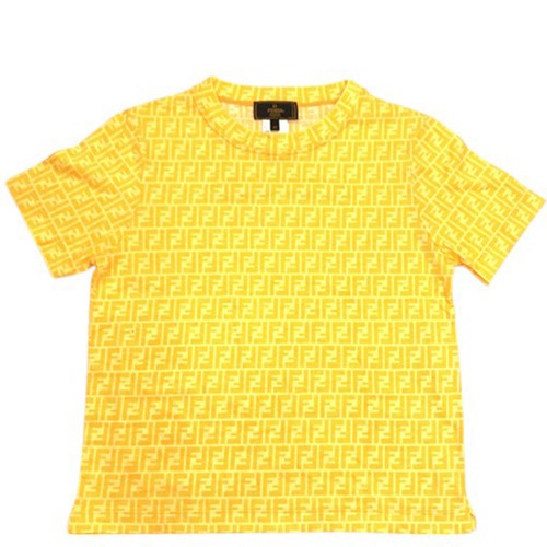 Fendi zucca monogram logo - zucca,