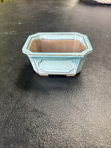 Small bonsai tree ceramic - bonsai,