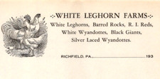 White Leghorn Farms Barred