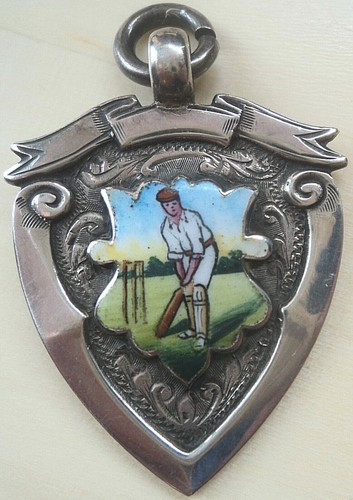 Silver enamel cricket - enamel,