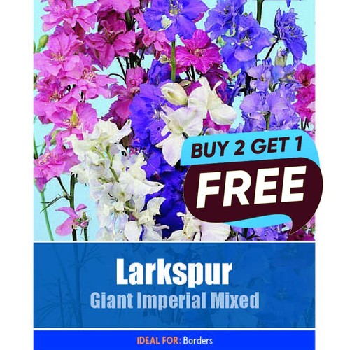 Larkspur giant imperial mixed - giant,