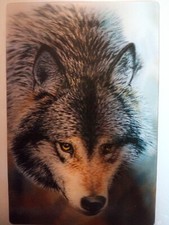 Wolf Stare 3D Postcard, World