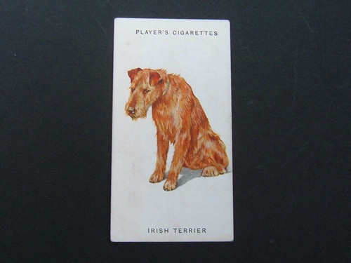 John player dogs - john,