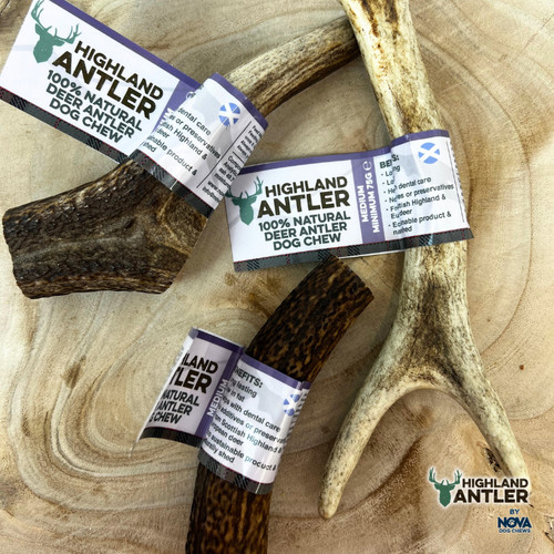 Highland antler medium natural - antler,