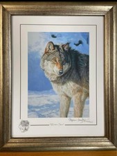 Stephen Gayford limited