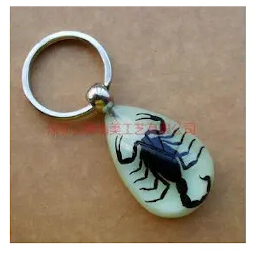 Luminous real insect bug - luminous,