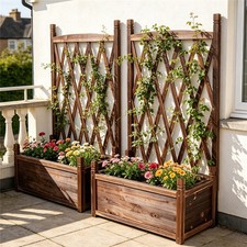 Raised Bed Garden Climbing