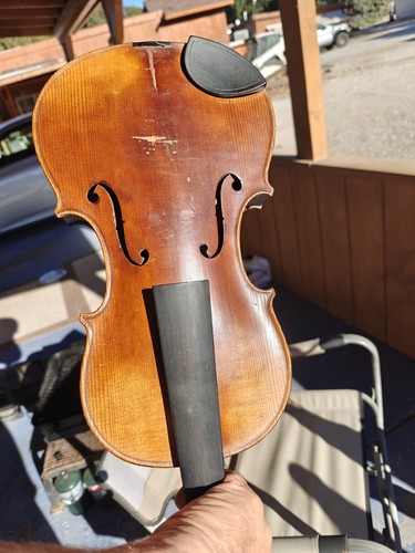 Stradivarius violin has been - stradivarius,
