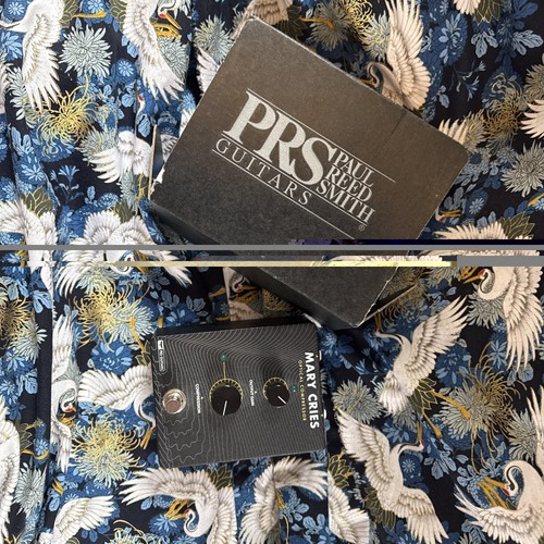 Prs mary cries - prs,
