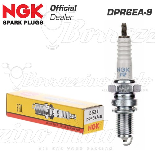Ngk dpr6ea honda tlr - honda, 250