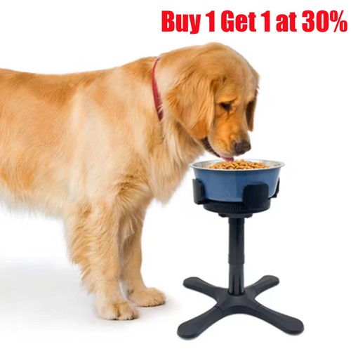 Single stand elevated - elevated, bowl