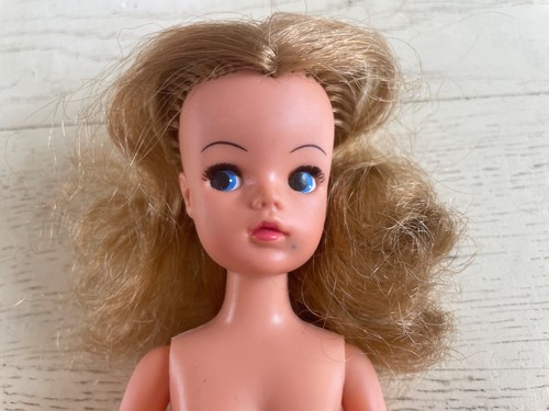 Pedigree sindy doll - sindy,