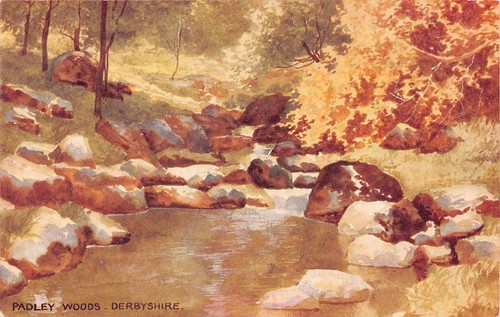 Padley woods derbyshire - padley,