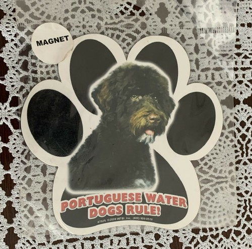 Lynco portuguese water dog - portuguese, paw