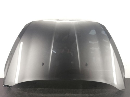 Ford max mk1 bonnet - mk1, magnetic