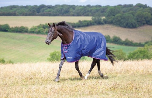 Shires tempest 100g medium - 100g,