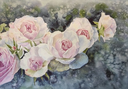 New garden flowers pink roses - new,