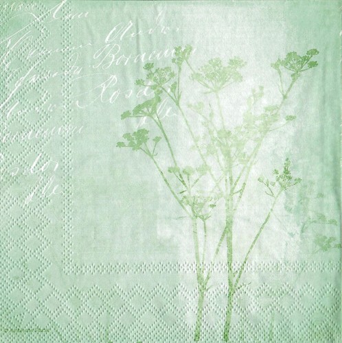 Single paper napkins - single,
