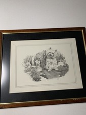 Beautiful Dog Drawings