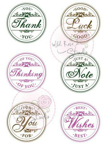 Wild rose studio circle - rose,