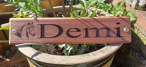 Personalised wooden horse - ,