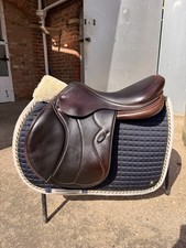 Equipe Synergy Brown Jump