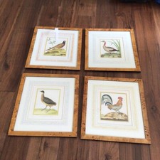 Francois Nicolas Martinet Limited Edition Birds Framed Prints