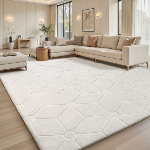 Fluffy rugs large shaggy - fluffy,
