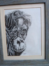 Graphite Pencil Sketch of An