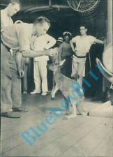 HMS Hood Royal Navy Battlecruiser at Freemantle Gift of Joey World Tr 1923-24 