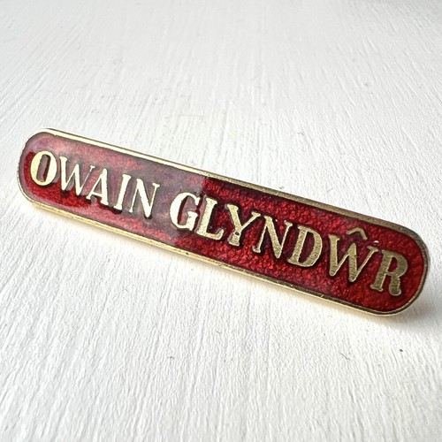 Owain glyndwr locomotive - glyndwr,
