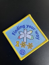 Finding your way 100 Brownie