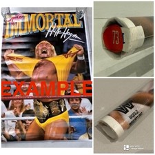 WWF The Immortal Hulk Hogan
