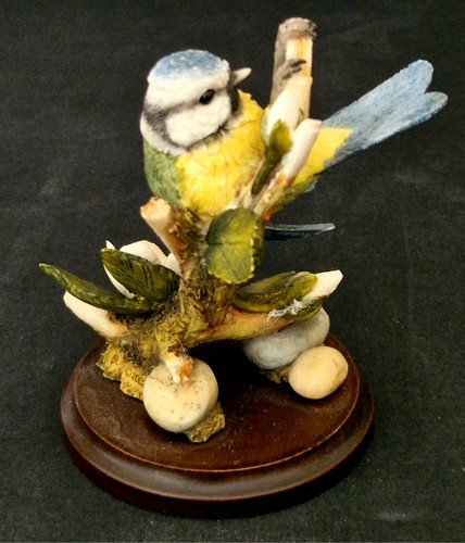 Country artists blue tit with - artists,