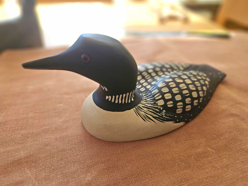 First nation common loon - nation,