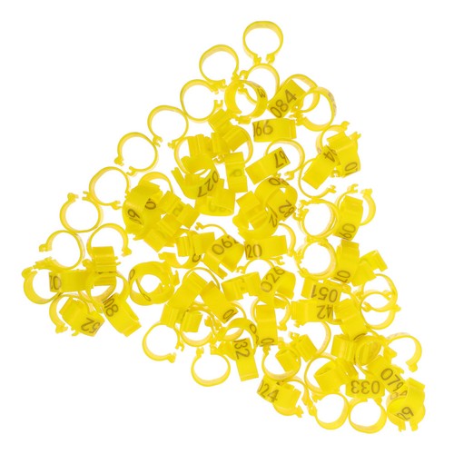 100 pcs homing - pcs, pigeon
