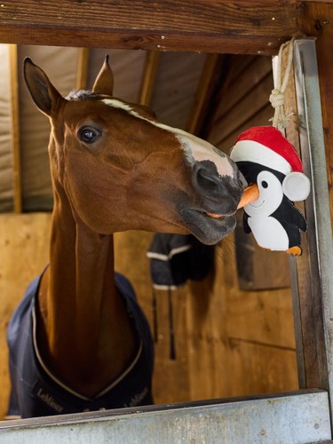 Lemieux horse toy penguin - lemieux,