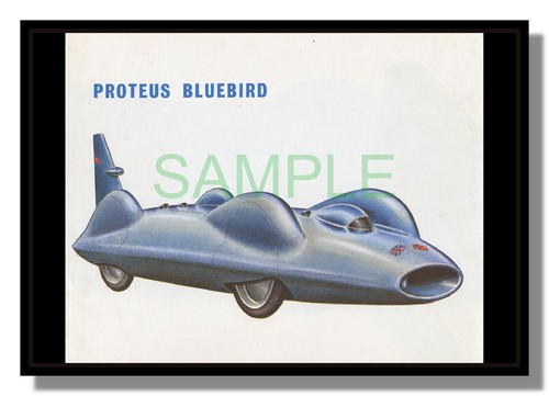 1960 proteus bluebird donald - 1960,