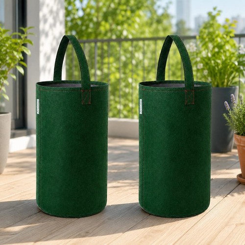 Felt hanging grow - grow, for