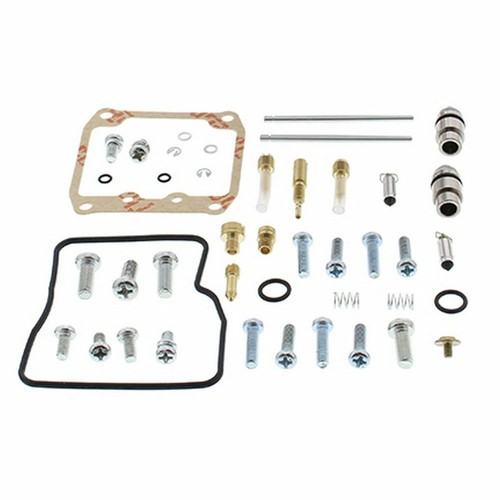 Carburetor revision kit - revision, for