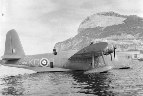 The raf short - the,