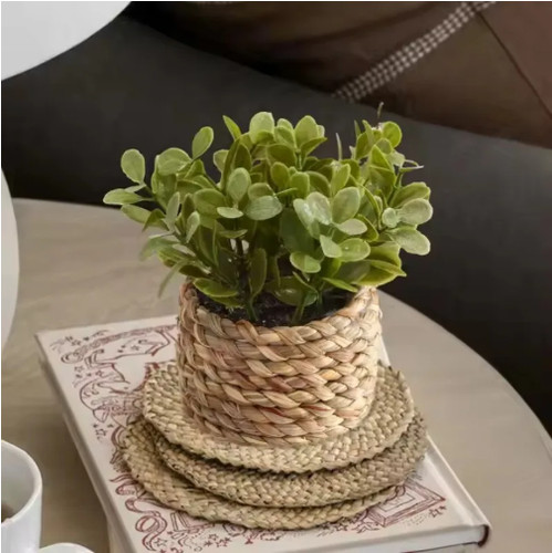Small potted fake plant - potted,