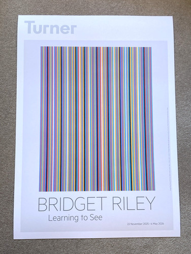Bridget riley silvered - bridget,