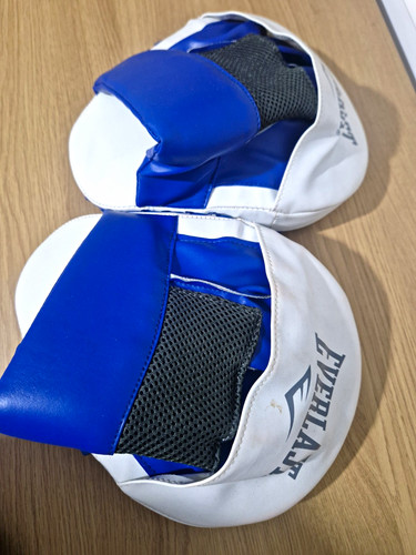 Everlast boxing focus - focus, pads