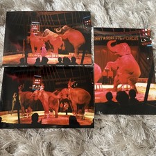 Bobby Roberts Circus Elephants