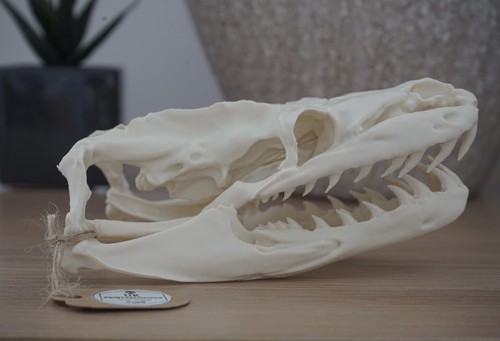 Replica snake head python - replica,