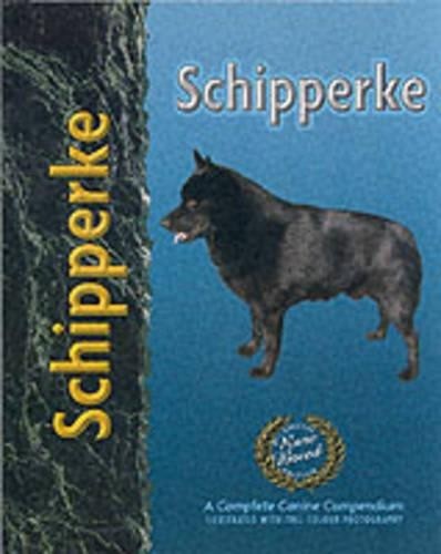 Schipperke pet love dog - love, breed